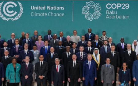 COP29 in Baku: Global Leaders Tackle Climate-Induced Migration with Sustainable Solutions