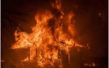 Oscars 2025 Faces Setbacks: Nominees' Lunch Canceled, Nominations Delayed Amid LA Wildfires