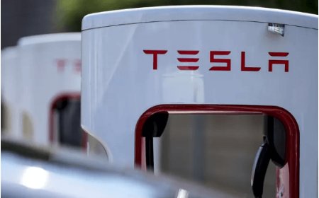 Tesla shares slump after European sales fall