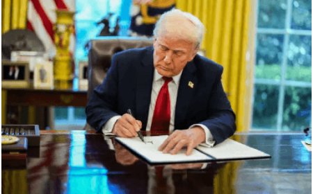 Trump Tariffs Shake Auto Industry: European Carmakers Face Market Turmoil.