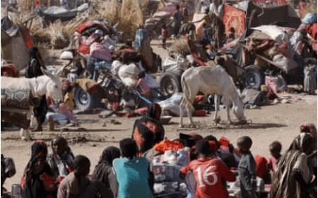 Sudan Crisis Deepens: UN Confirms Devastating Toll as 542 Killed in North Darfur in Just Three Weeks
