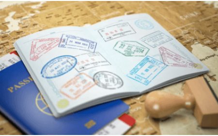 UAE has introduced the 'Blue Visa,' a 10-year residency permit for Environmental Contributors