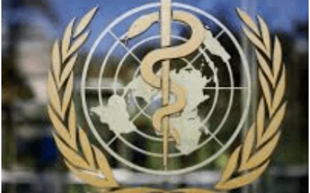 WHO Issues Critical Update on Ongoing Global Mpox Outbreak