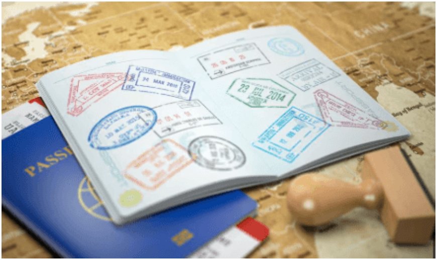 UAE has introduced the 'Blue Visa,' a 10-year residency permit for Environmental Contributors