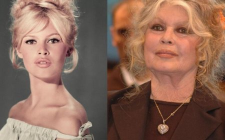 Brigitte Bardot, Icon of French Cinema and Tireless Voice for Animal Rights, Dies at 91
