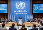 WHO Releases Updated Global Guidelines to Strengthen Pandemic Preparedness