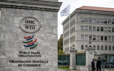 WTO Members Launch First Global Digital Trade Rules, Bypassing Consensus Deadlock