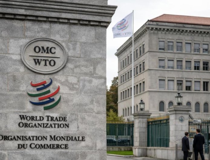 WTO Members Launch First Global Digital Trade Rules, Bypassing Consensus Deadlock