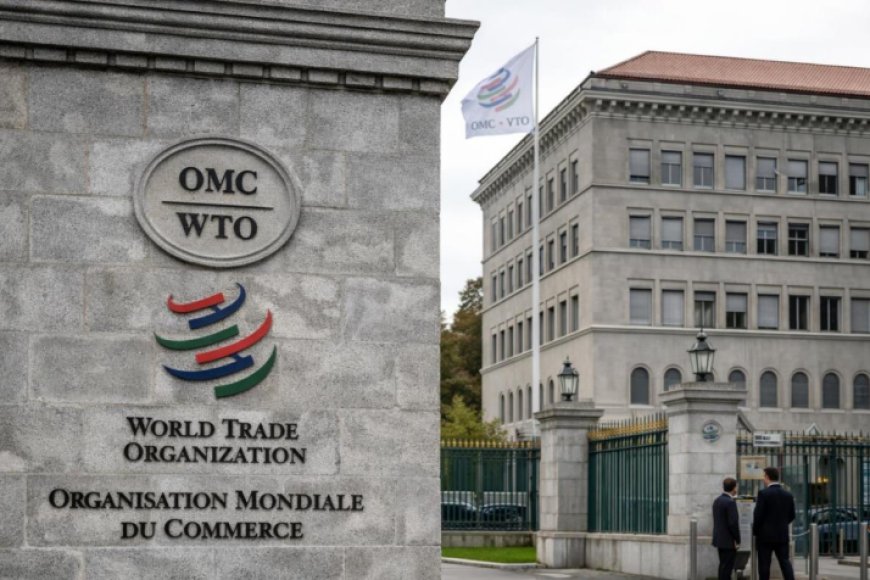 WTO Members Launch First Global Digital Trade Rules, Bypassing Consensus Deadlock