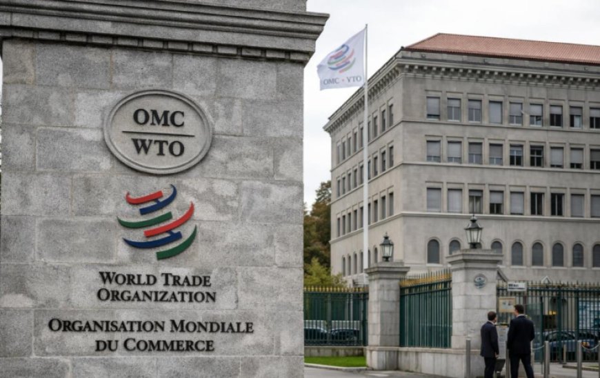 WTO Members Launch First Global Digital Trade Rules, Bypassing Consensus Deadlock