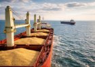 Wheat Cargo Ship Sinks in Sea of Azov, Raising Fresh Global Supply Concerns