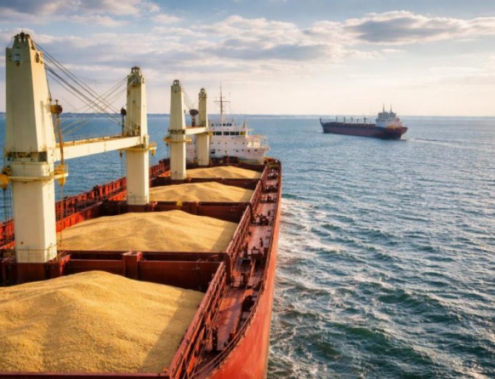 Wheat Cargo Ship Sinks in Sea of Azov, Raising Fresh Global Supply Concerns