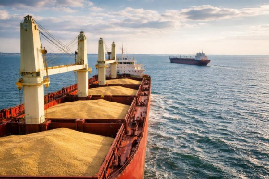 Wheat Cargo Ship Sinks in Sea of Azov, Raising Fresh Global Supply Concerns