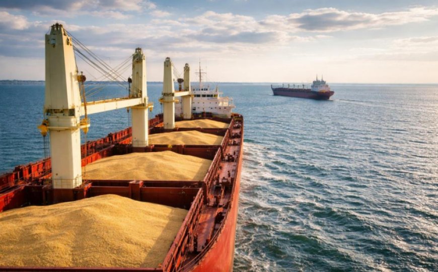 Wheat Cargo Ship Sinks in Sea of Azov, Raising Fresh Global Supply Concerns